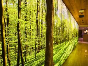 Dosso Dossi Hotels & SPA Downtown