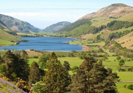 The Cambrian Way