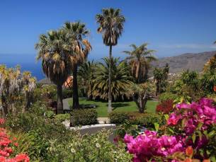 Bungalows Palma Jardin