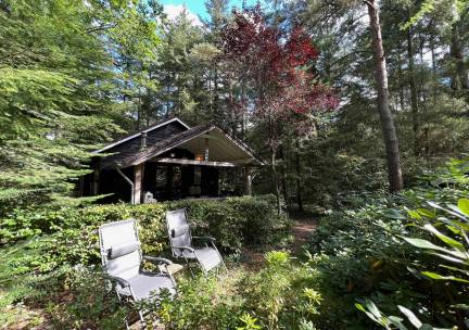 4 Persoons boshuisje in Emst op de Veluwe