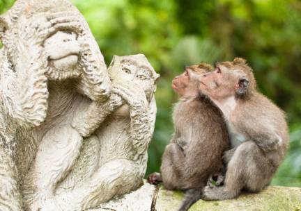 Bali's dieren, natuur en stranden
