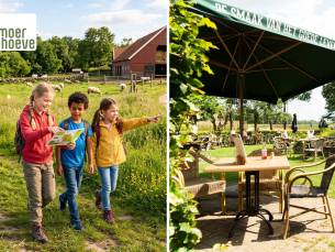 Speurtocht (1,5 uur) + gebak of snack + drankje naar keuze bij Menmoerhoeve