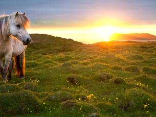 Ontdek IJsland: Het ultieme fly & drive avontuur van 13 dagen! Incl. vlucht, hotels, ontbijt en huurauto