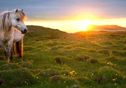 Ontdek IJsland: Het ultieme fly & drive avontuur van 13 dagen! Incl. vlucht, hotels, ontbijt en huurauto