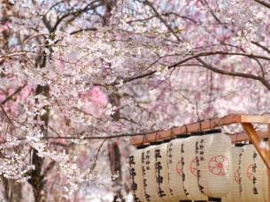 Best of Japan