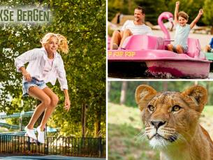 Entree voor Safaripark + Speelland Beekse Bergen