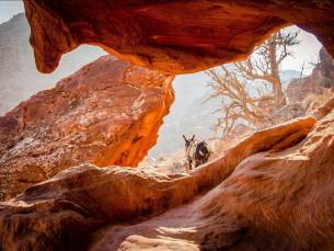 Priv&eacute;rondreis Ontdek Jordani&euml;