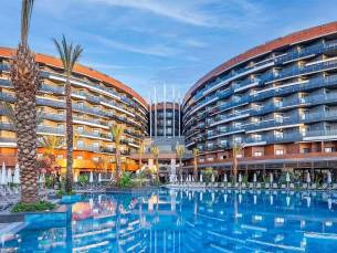 Calyptus Kirman Premium