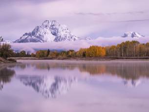 Winter- und Frühlings-Sonnenaufgangssafari von Jackson Hole