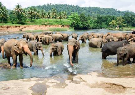 Discover Sri Lanka Deluxe