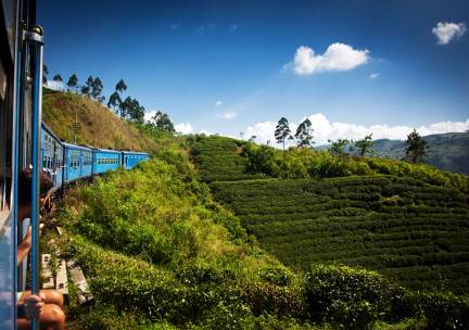 Rondreis Hoogtepunten van Sri Lanka