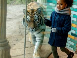 Dierenpark Amersfoort