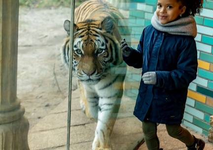 Dierenpark Amersfoort