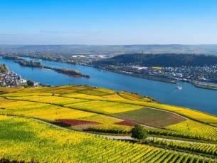 Rijnromantiek naar Rüdesheim met mps Serenade 2
