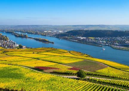 Rijnromantiek naar Rüdesheim met mps Serenade 2