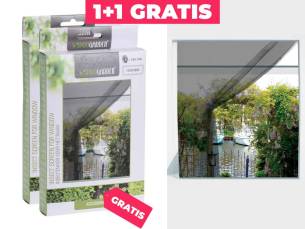 Insecten Hor Voor Raam