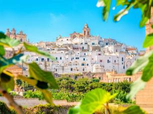 Train & Electric Drive Puglia & Amalfikust