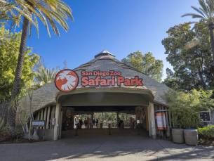 Tageskarte f&uuml;r den San Diego Zoo Safari Park