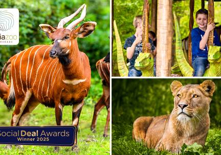 Entree voor GaiaZOO