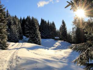 Geniet in een 4*-hotel met sauna in het Oostenrijkse Dornbirn incl. ontbijt + GRATIS UPGRADE!