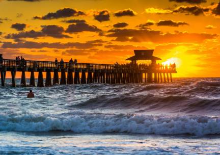 Highlights Florida Superior