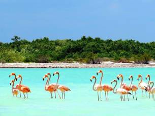 Tagesausflug zur Insel Holbox mit Bootstour und Mittagessen