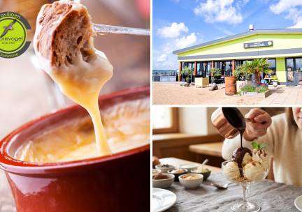 Kaasfondue + nagerecht naar keuze aan het water bij Paviljoen Stormvogel