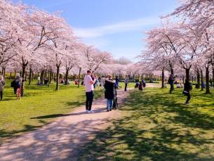 TOPDEAL! ⚡ Verblijf in een luxe 4*-hotel in Amstelveen bij het Bloesempark in het Amsterdamse Bos incl. heerlijk ontbijt!
