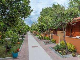 Ozlem Garden