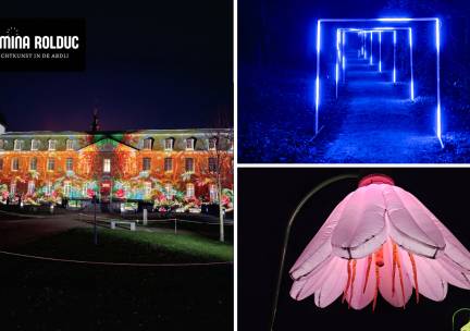 Entree Lumina Rolduc - Lichtkunst in de Abdij + koffie, thee of warme chocomel