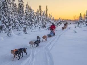 4 daagse: Arctic River Lodge Lapland Escape - Nordic