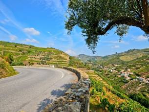 Fly-drive Ontspannen in Minho en Douro 8 dagen