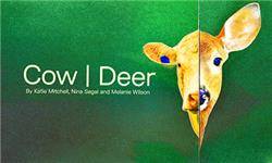 Cow | Deer