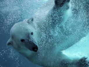 MEGA WILDLANDS SPECIAL! Verblijf in een 4*-hotel in Emmen incl. ontbijt en entree  voor WILDLANDS!