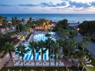 Trendy Palm Beach