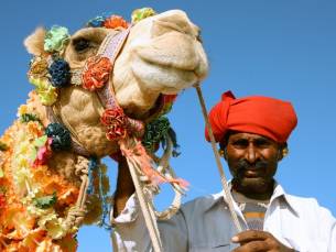 Kamelenfestival Pushkar