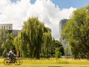 3 dagen in 4*-hotel in Eindhoven incl. welkomstdrankje, ontbijt en fietshuur
