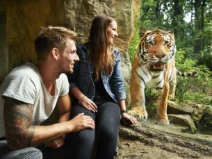 De zeldzaamste diersoorten ter wereld van dichtbij bekijken