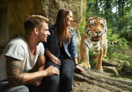 De zeldzaamste diersoorten ter wereld van dichtbij bekijken