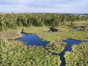 Everglades Safari Park Tour plus airboat tocht
