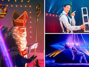 Entree Sinterklaas Circus Helmond