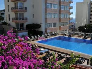 Dorisol Mimosa Studio