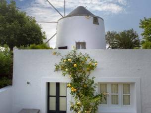Olival de Sao Filipe