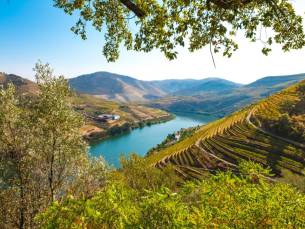 LAST MINUTE! ⚡ 6-daagse cruise vanaf Porto door de Douro-vallei, bekend om zijn wijn en wijngaarden incl. vlucht, havengelden & o.b.v. volpension