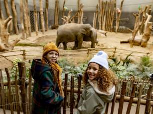 DierenPark Amersfoort