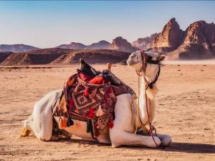 Privérondreis Ontdek Jordanië incl. Wadi Rum