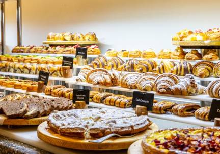 Hotel Fort Arabesque Resort