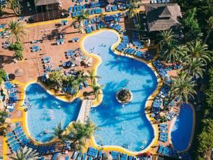 Flamingo Oasis