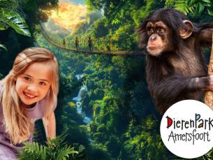 DierenPark Amersfoort