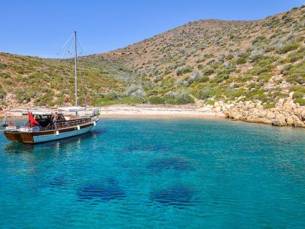 Blue Cruise & Villa Sunflower